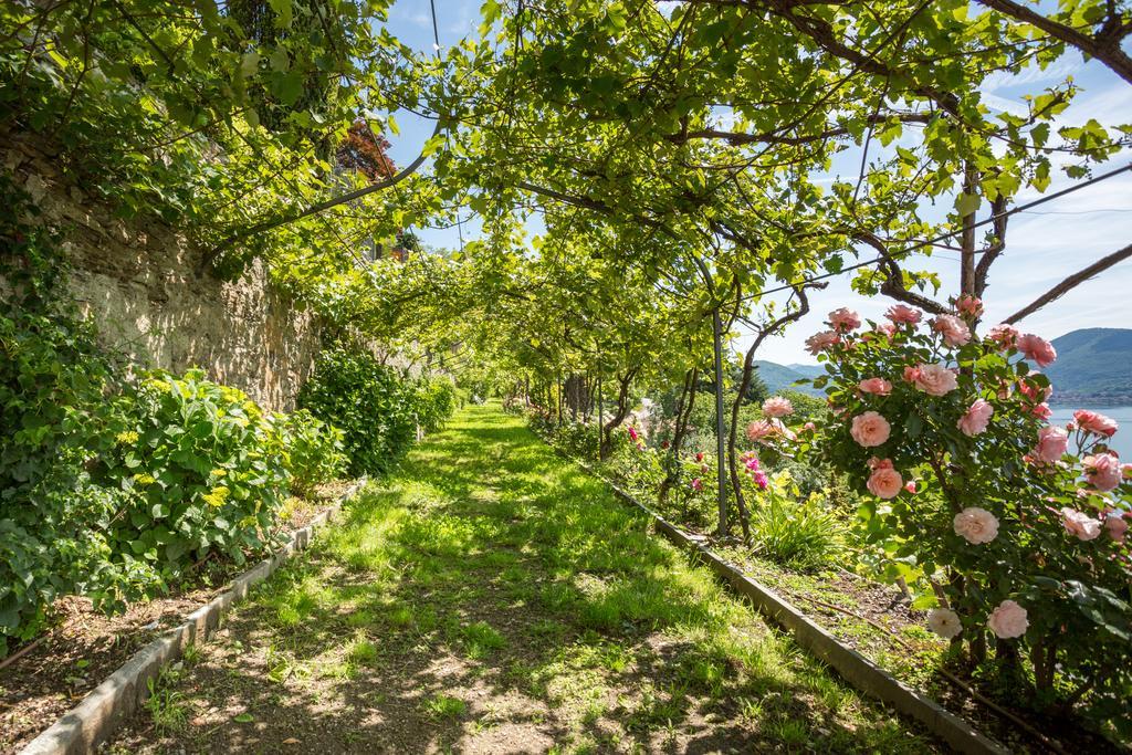 Villa Paradiso Cannero Riviera Esterno foto